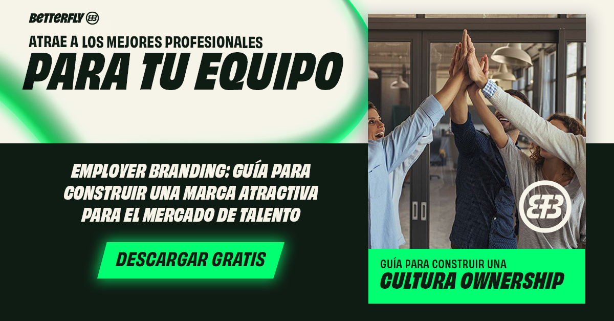 Ownership Que Es